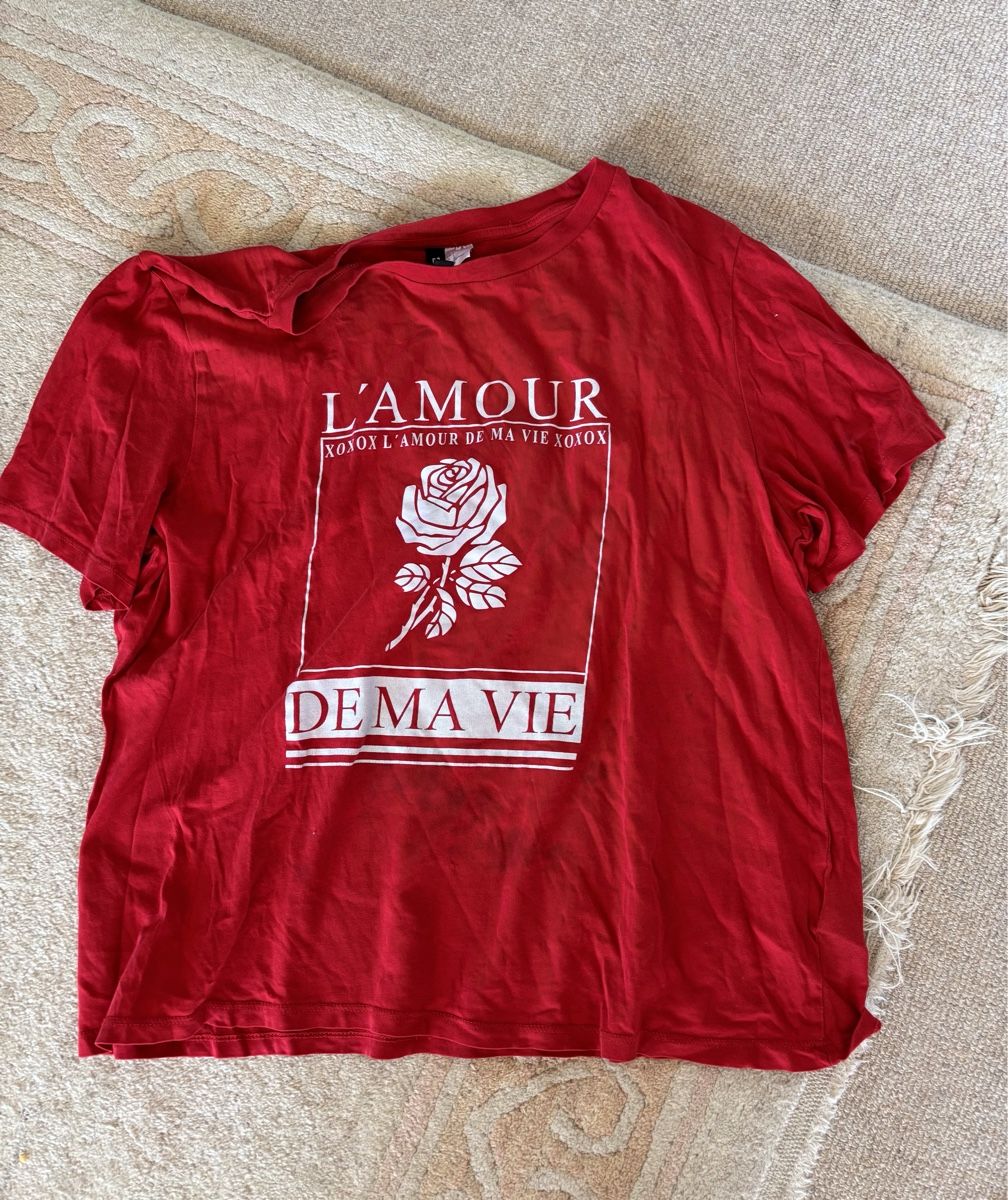 H&M T-shirt: T-Shirt – Usato da Eggersriet venduto da car_w5cl