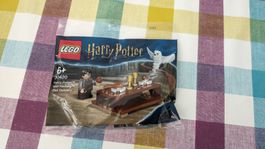 LEGO Harry Potter und Eule Hedwig (30420)