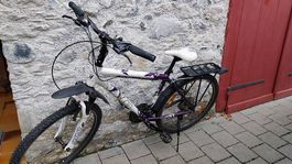 Vélo Scott Contessa 26 Zoll 