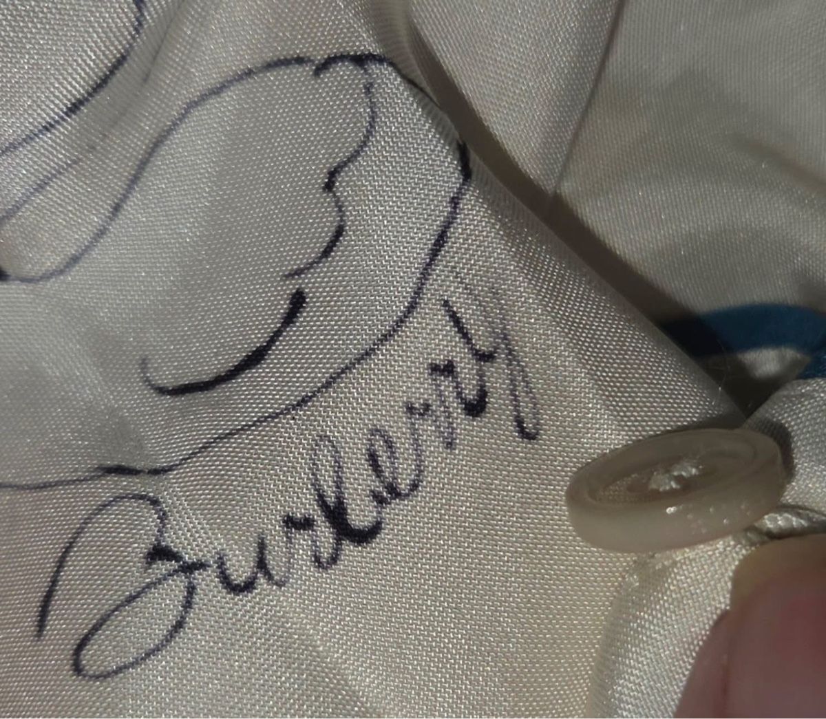 Burberry Camicette: Burberry Silk Shirt  – Usato da St.Josefen venduto da lop_lh8d 3