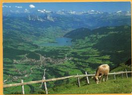 RIGI-KULM Ausblick gegen Lauerzersee, Goldau und Mythen, Kuh