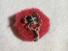 Charms Kreuzspinne