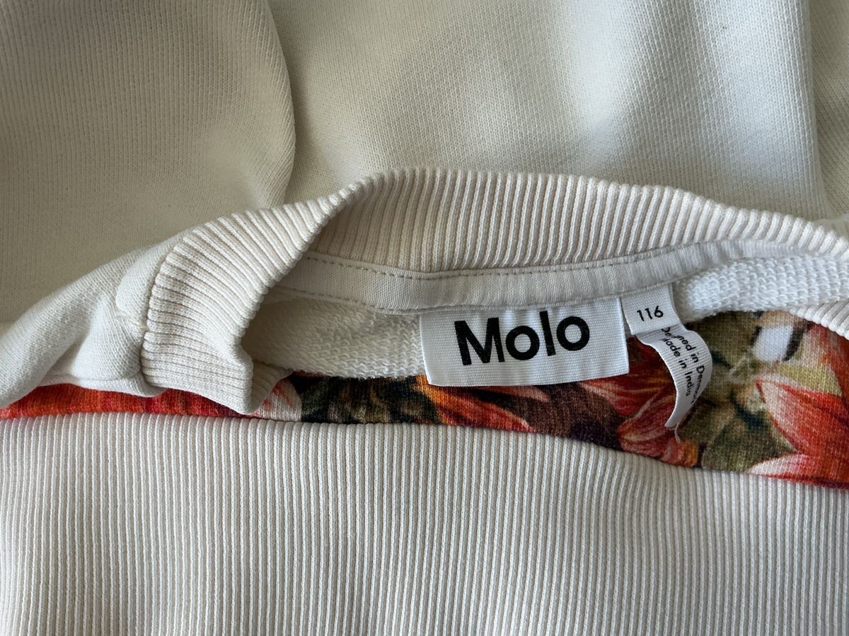 Molo Pulls et sweat-shirts: Molo Pullover (Grösse 116  – D'occasion à Kilchberg ZH par nad_6dwp 2