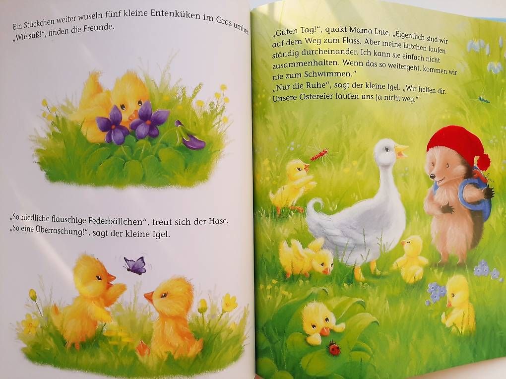 Libri: Kinderbuch "Der kleine Igel und das verlorene Entchen"  – Usato da Basel venduto da Renato_hirzi 2