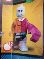 Lego Minifigur Serie DC Super Heroes - No. 12