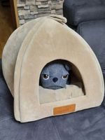 Kuscheliges Katzenhaus / Hundehaus von Cachet, Top Zustand!