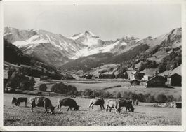 Elm GL Landwirtschaft Kuhweide Hausstock 1963 sehr gut erhal