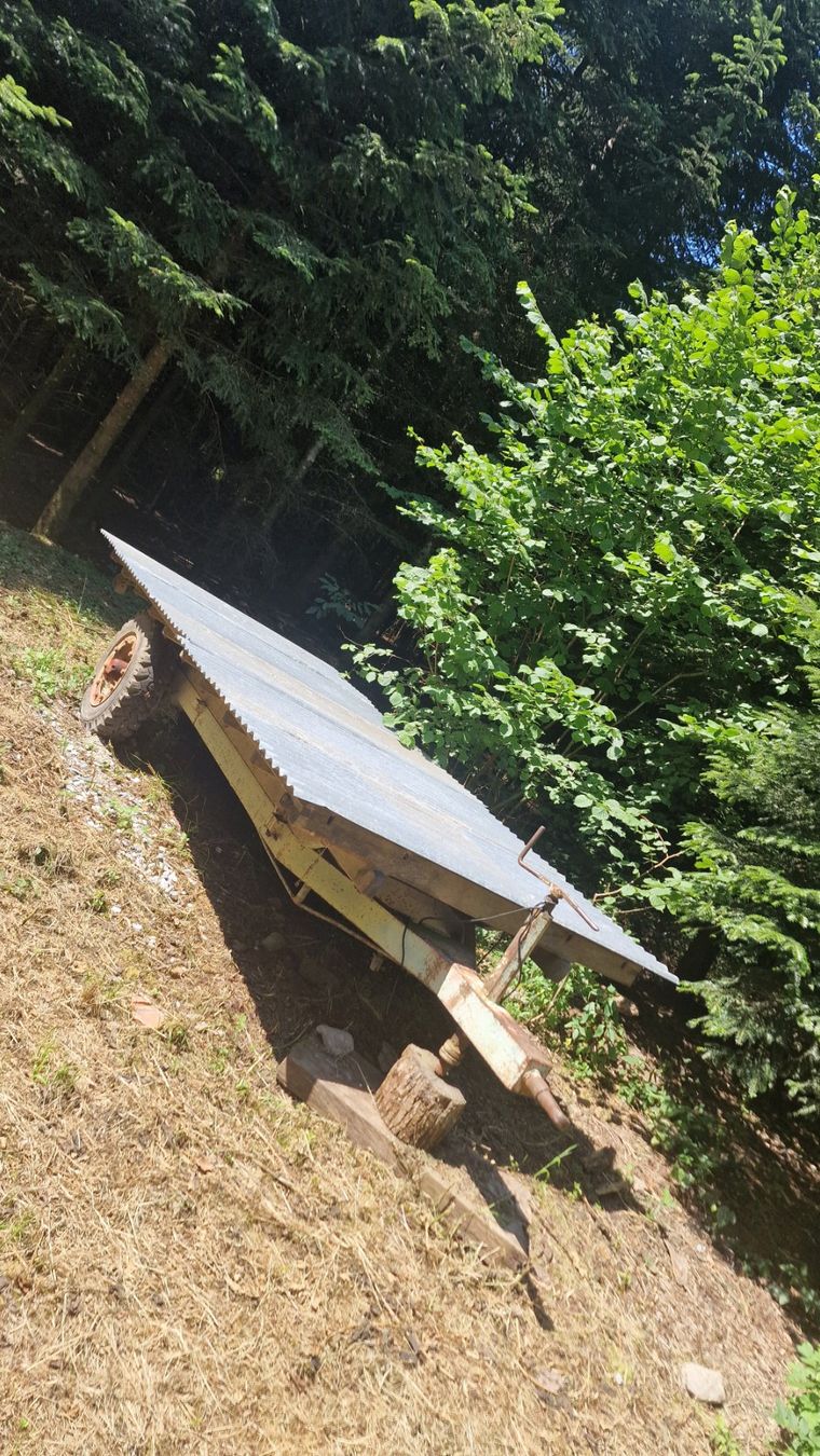 Rimorchi: GRATIS Traktor Flachwagen – Usato da Bottighofen venduto da Zwanzgerli 1