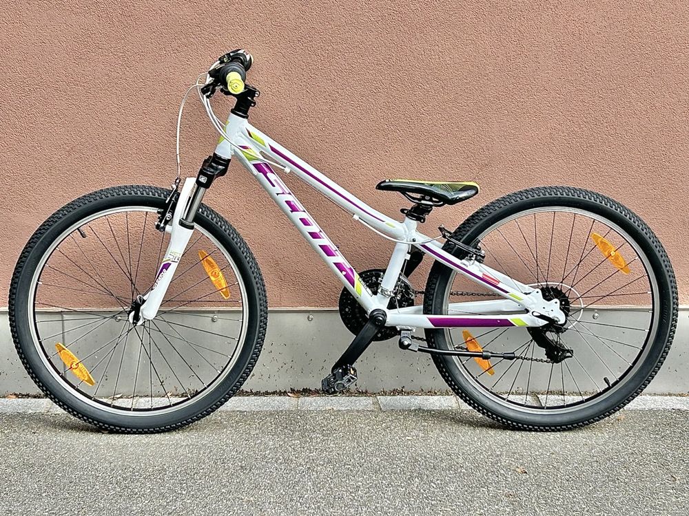 Wunderschne Scott 24 Zoll Ebenbild