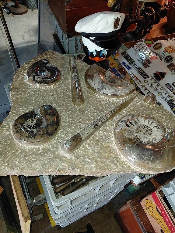 Fossili: Magnifiques fossiles – Usato da Noiraigue venduto da pel_ny7d