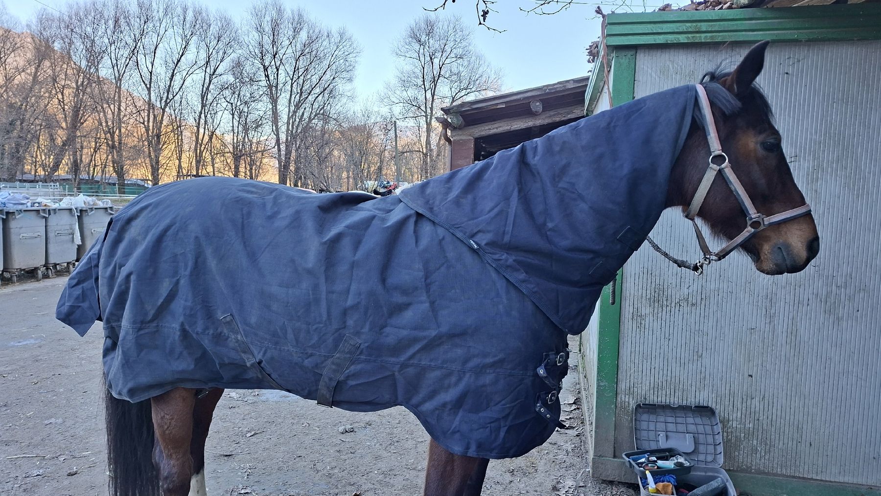 Coperte: Coperta Decken Equiline 400gr – Nuovo (secondo la descrizione) da Losone venduto da sof.05 1