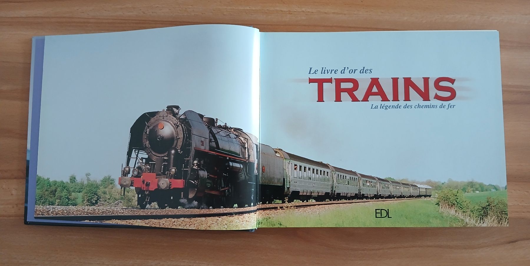 Libri: Le livre d'or des Trains – Usato da Le Sentier venduto da arc_2thy 1