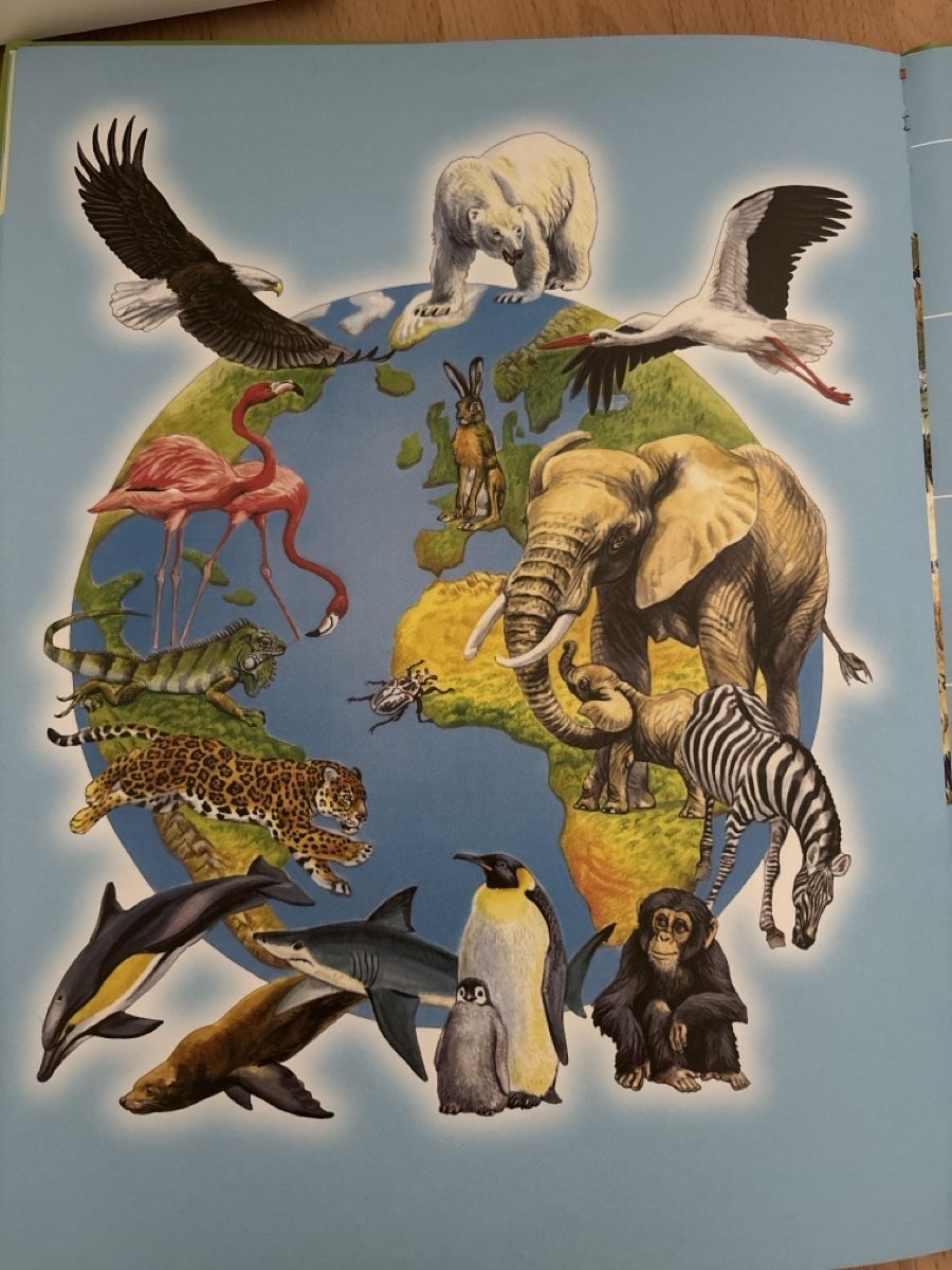 Libri: Kinderatlas – Usato da Buchs ZH venduto da els_mgj9 3