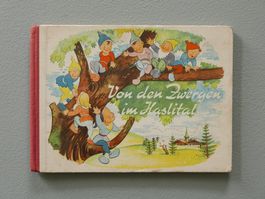 KINDERBUCH VON DEN ZWERGEN IM HASLITAL