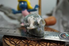 Baum Jaspis       Skull     ab  1.-     Räumung