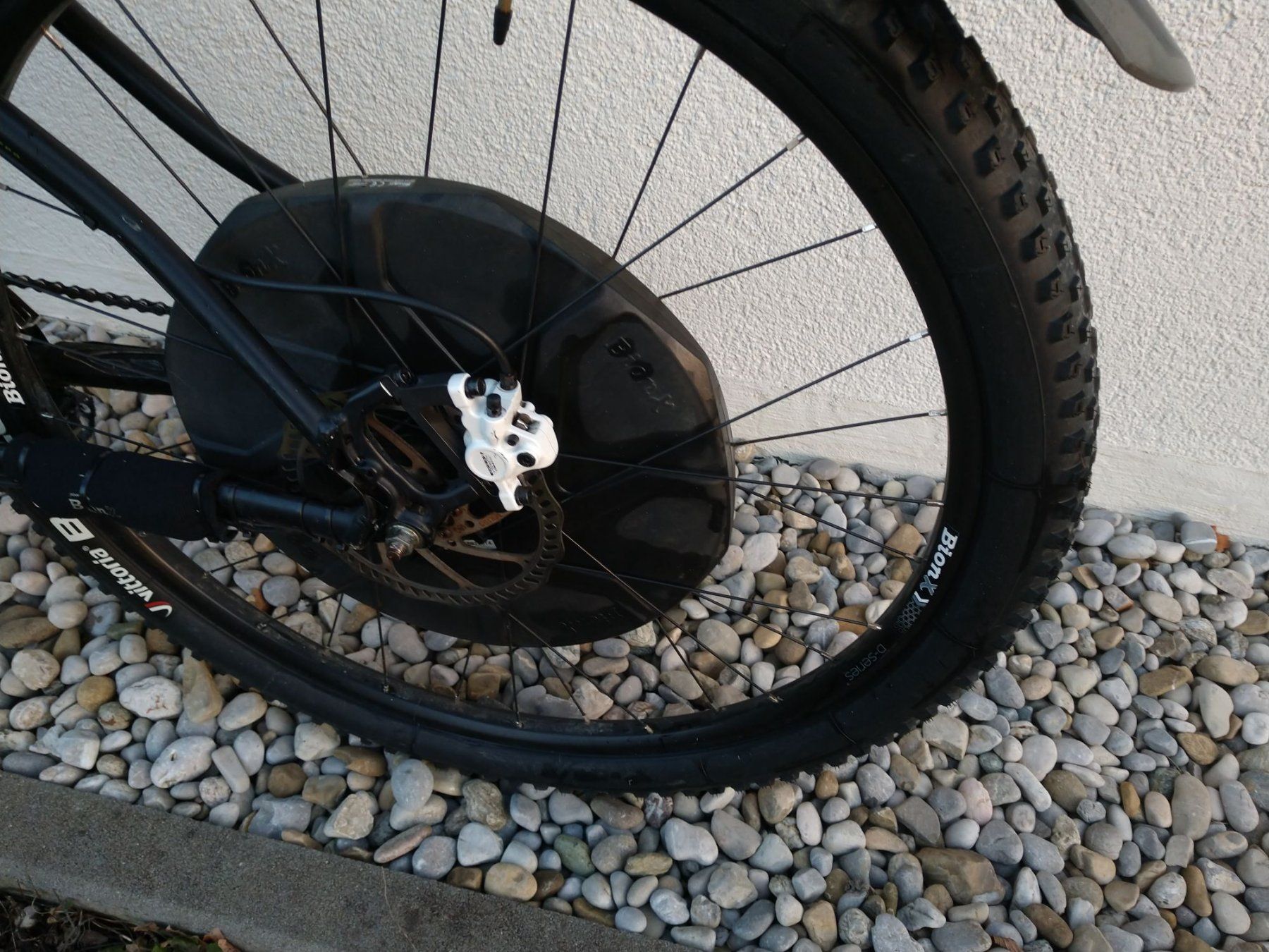 Wheeler Biciclette: Wheeler E-Eagle 29" Bionx D E-MTB Gr. M-L Pedelec E-bike – Usato da Zürich venduto da ElenaTT 6