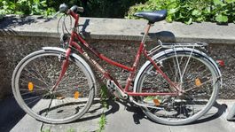 Fahrrad, Velo; Damen, mit Schutzblech, Gepäckträger