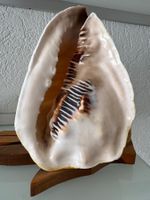 Tischlampe "Gehörnte Helmschnecke"