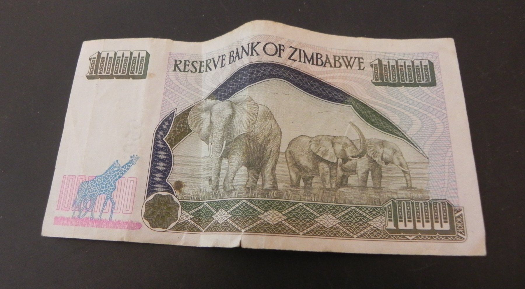 Banconote: Banknote Zimbabwe 1000 Dollars 2003 – Usato da Biel/Bienne venduto da Gogolozi 1