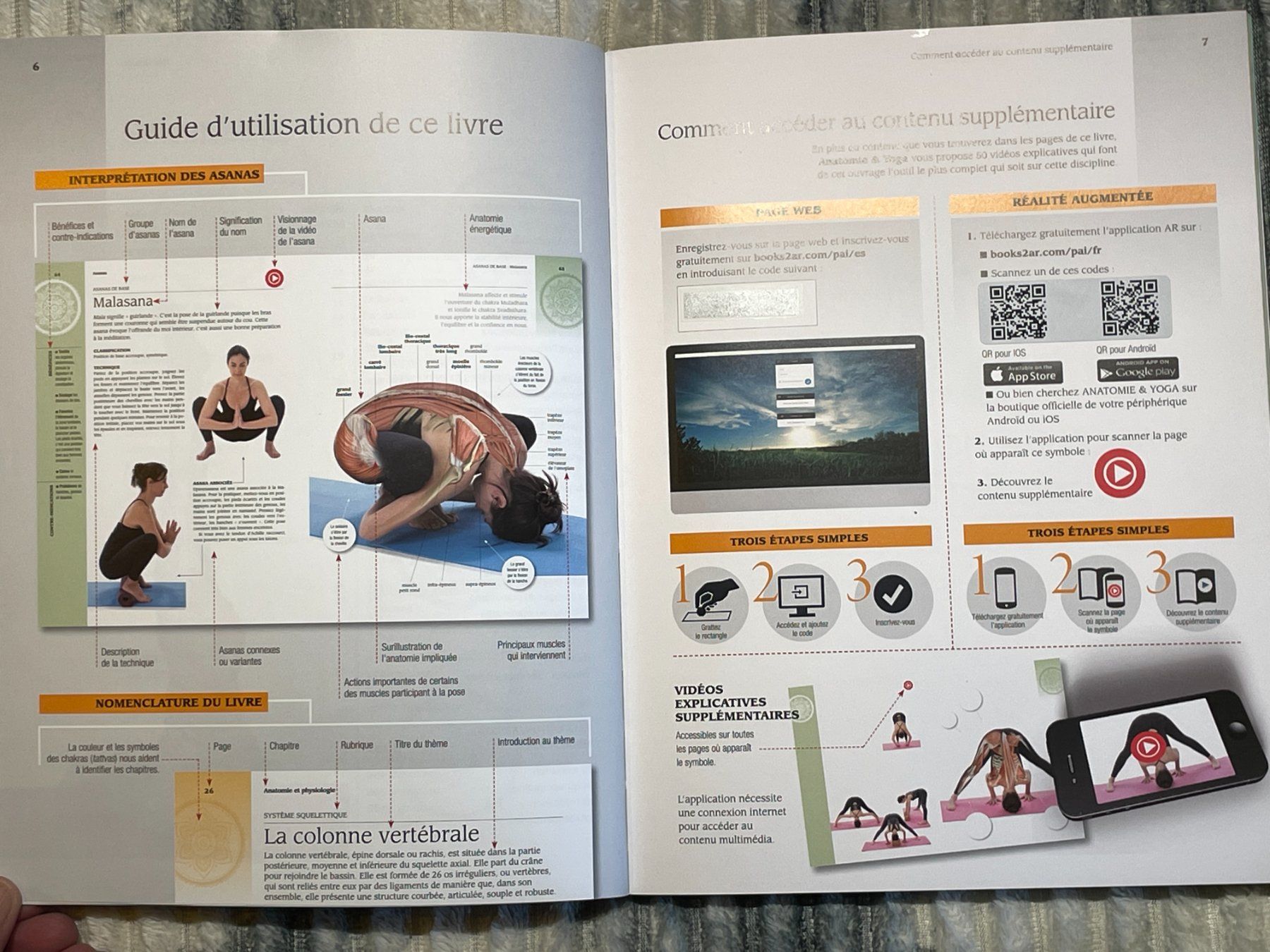 Libri: Yoga & anatomie – Usato da La Tour / VS venduto da patoye 3