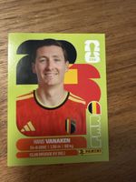 Panini Fifa BEL 14