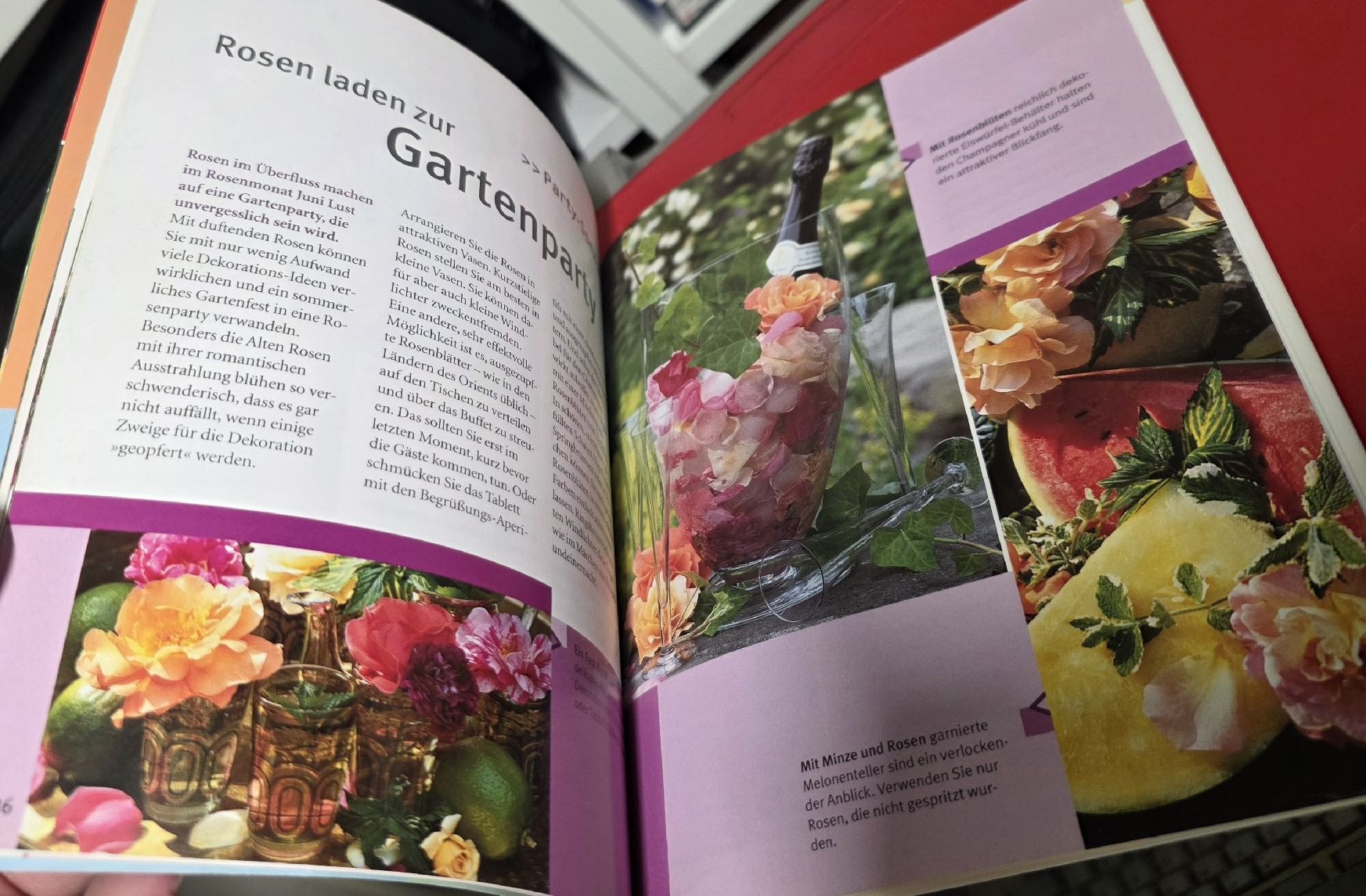 Bücher: Rosen - schnell & einfach - GU (BUCH) – Gebraucht aus Reinach BL von _MasterK_ 4