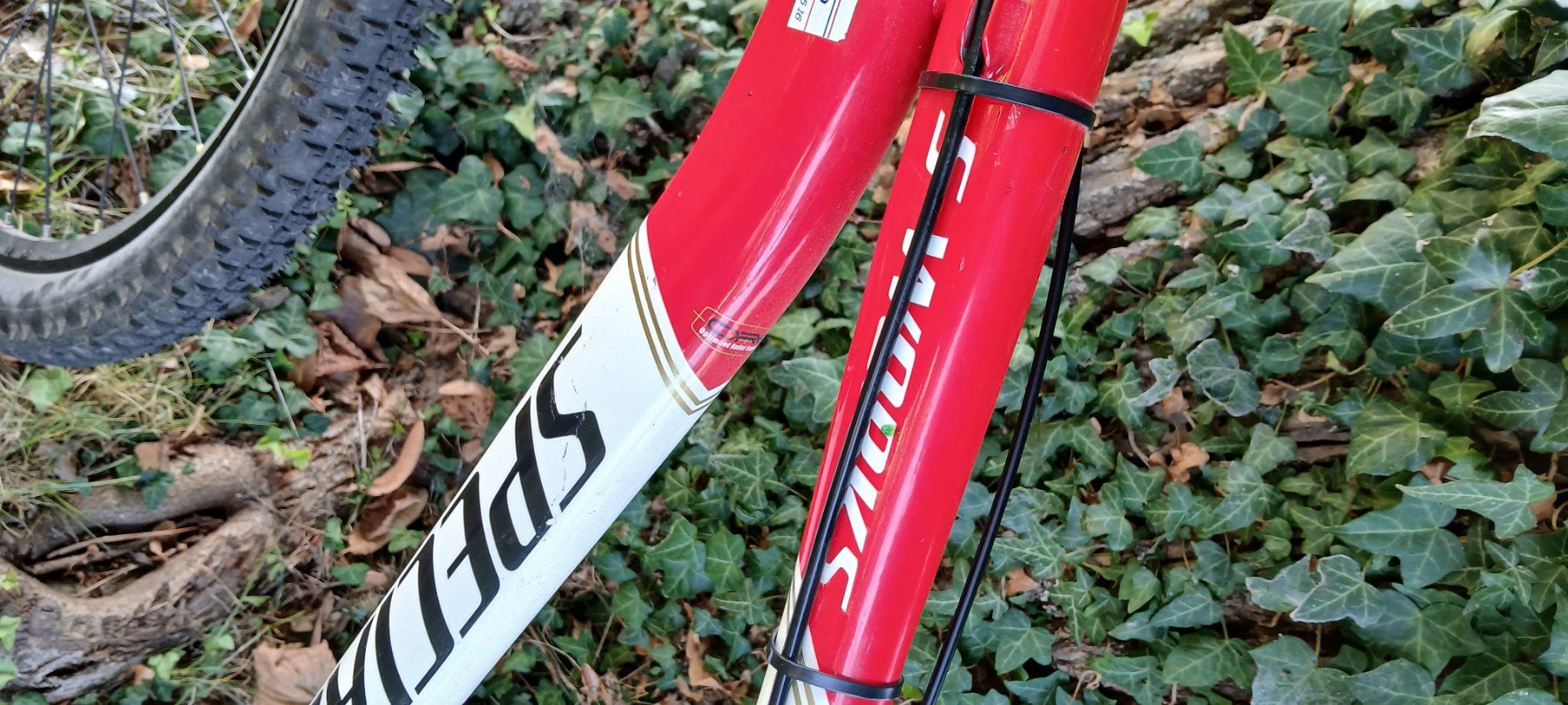 Biciclette: Mtb Specialiced – Usato da Gossau SG venduto da pluto69 2