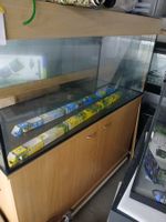300lier stosverklept Aquarium
