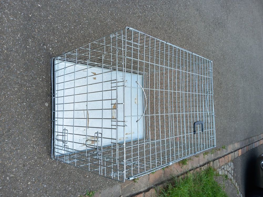 Zalati Habitat Käfig Faltbar - Insekten Terrarium Mit Pinzette 16x16cm