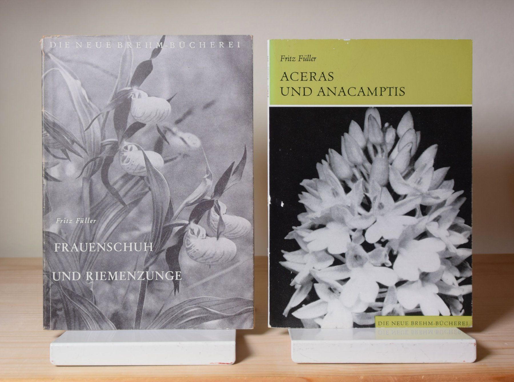Libri: Konvolut, Sammlung, Lot: Orchideen 12 Titel – Usato da Erschwil venduto da taglang 2
