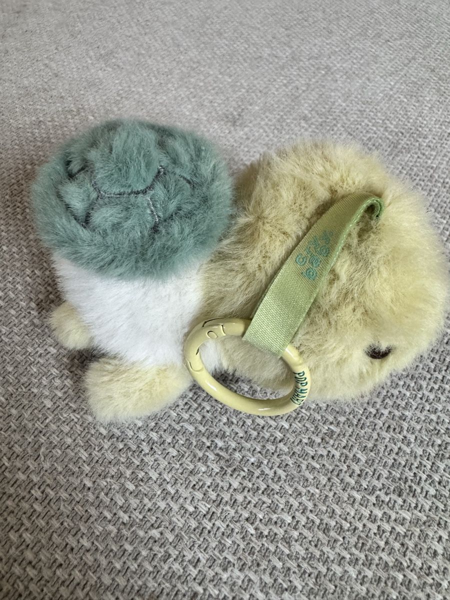 Schlüsselanhänger & - bänder: Crybaby Turtle – Gebraucht aus Zürich von MHW23 3