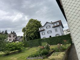 Heckenschnitt