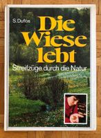 Die Wiese lebt