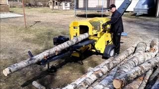 Tutte le macchine: Regon R1 Sägespaltautomat mit Stammheber – Usato da Uznach venduto da FirewoodTECH 2
