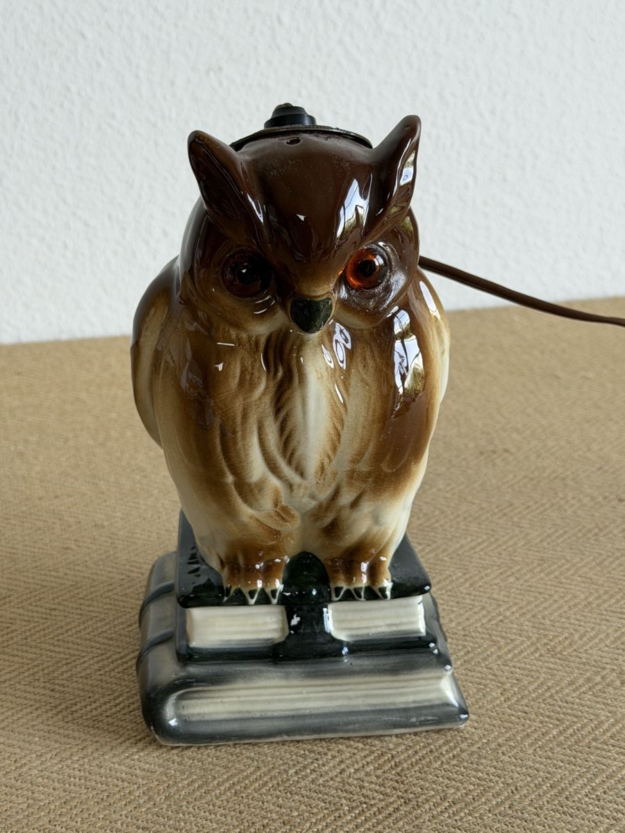 Lampade: ORIGINAL AEROZON Rauchverzehrer Lampe Eule Vintage – Usato da Konolfingen venduto da petzipetz 6