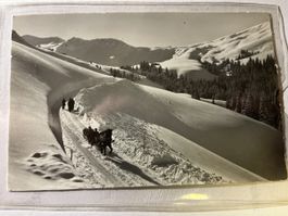 adelboden schlitten wintersport ski