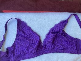Violet BH, Spitze, wunderschön und Neu