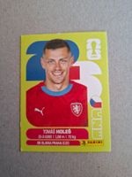 PANINI FIFA 2026 CZE 7