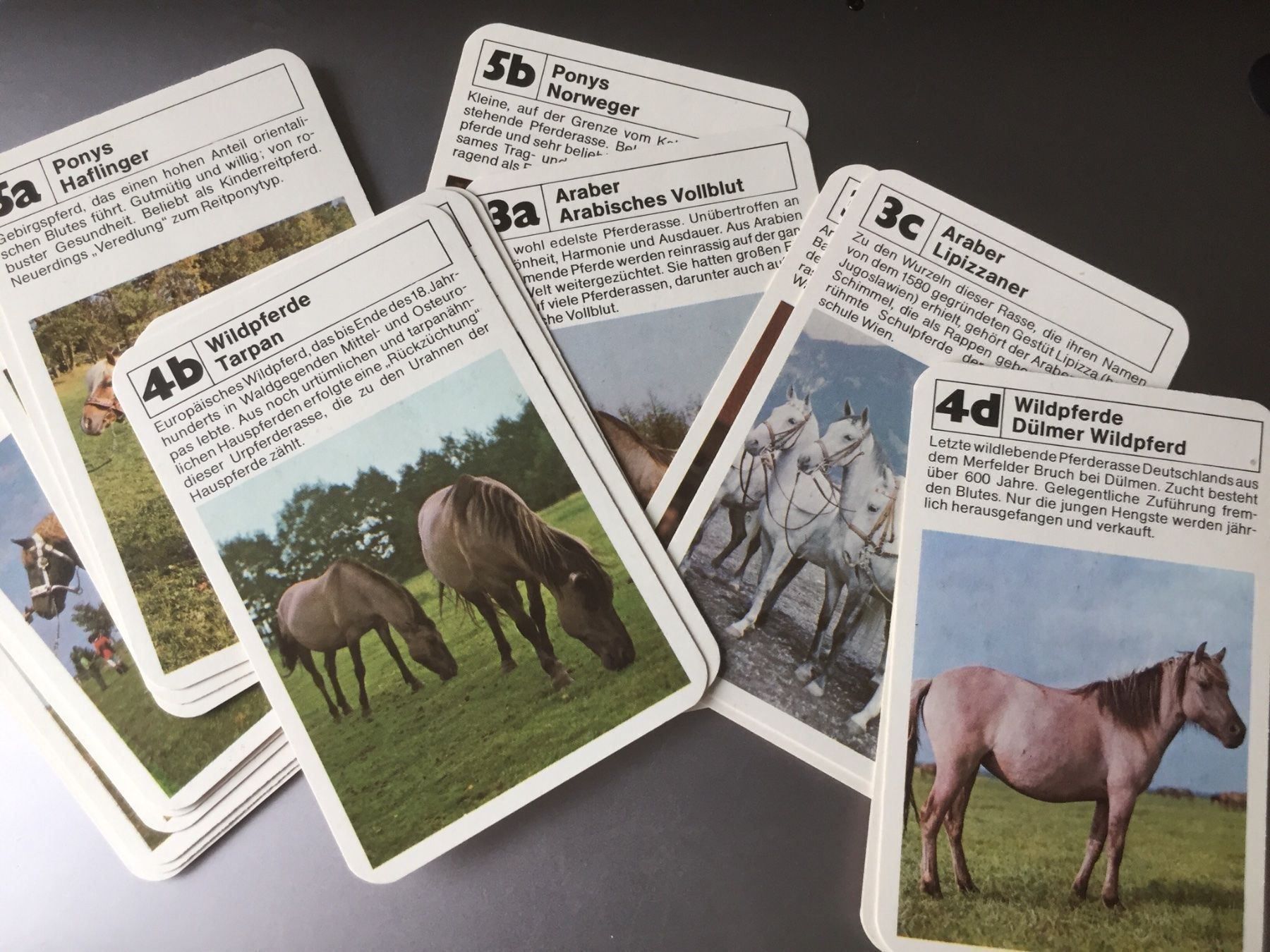 Giochi: Quartett Pferde ASS 3102/1 – Usato da Gerlikon venduto da mutzli1 1