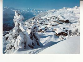 Bettmeralp 1988