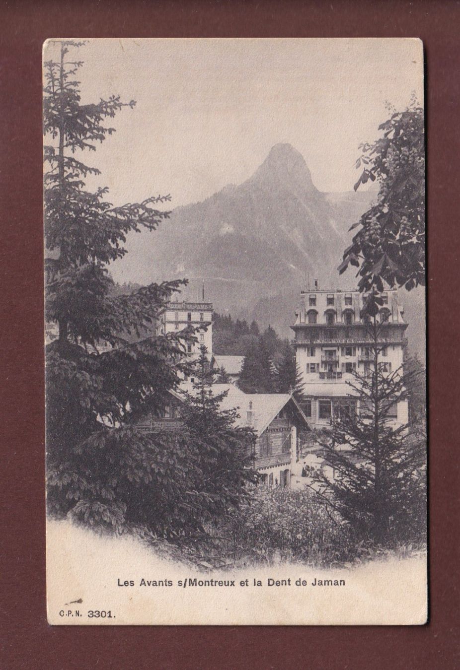 Cartoline postali: LES AVANTS - Dent de Jaman - CPN – Usato da Pully venduto da nicecards
