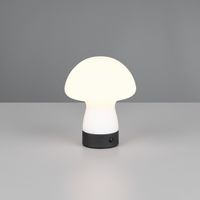 LED Tischleuchte, Akku, 18 cm Höhe