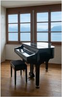 Piano numérique à queue Gear4music GDP-300 – noir laqué – 88