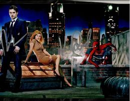 SPIDER-MAN Tobey MAGUIRE Kirsten DUNST / TOP AUTOGRAMME