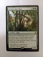 MTG Single: Pathbreaker Ibex EX EN