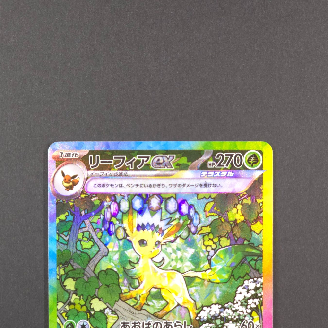 Pikachu Ex 236/187 Sv8a: Terastal Fest Ex Pokmon Card Leafeon Ex RR  003/187 - Japanese Terastal Fest Ex Set (Holo Rare)