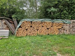 Brennholz Esche
