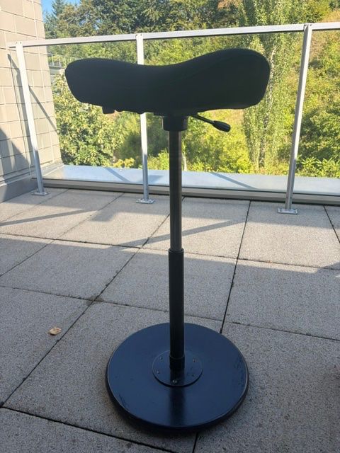 Stokke Hocker: Stokke Move Ergonomischer Sattelhocker (Varier Move Design) – Gebraucht aus Wilen b. Wollerau von rosmarin13