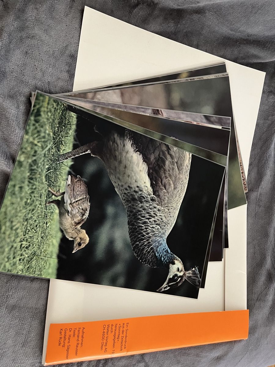 Bücher: Fotobuch von 1975 – Gebraucht aus baden von jessgold 2