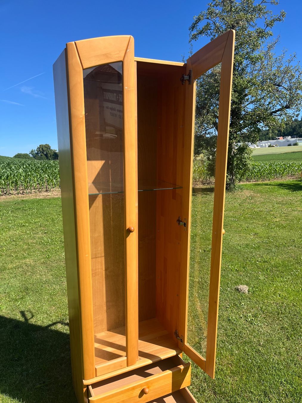 Vetrine: Vitrine 2 Türig mit Lampe ohne Kabel – Usato da Allmendingen b. BE venduto da juair 1